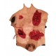Buste silicone avec blessures diverses et support
