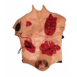 Buste silicone avec blessures diverses et support