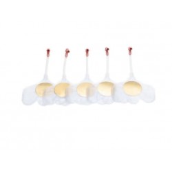 Voies respiratoires Little Baby QCPR X24