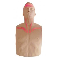 Mannequin Brayden adulte