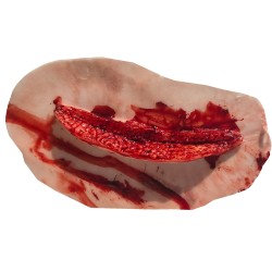 Plaie simulation égorgement