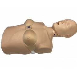 Dispositif féminin brassière mannequin adulte Prestan X4