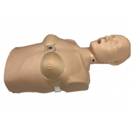 Dispositif féminin brassière mannequin adulte Prestan X4
